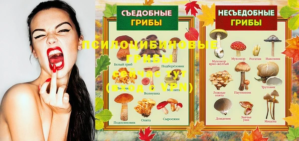 первитин Абинск