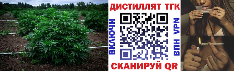 где найти наркотики  Сертолово  ТГК THC oil 